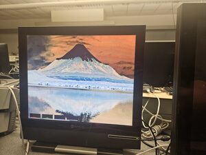 Camera output on the VGA display.