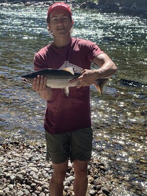 Pink at Campbell River.