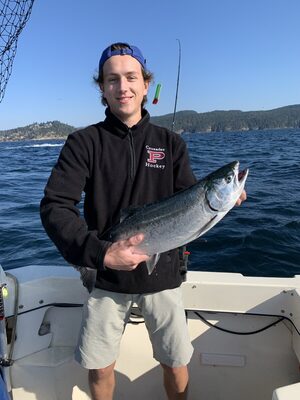 Salmon.